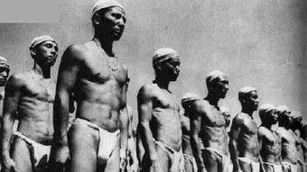 色情_日本侵略,日本殖民统治下的社会扭曲与道德沦丧