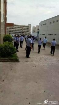 电子厂爆料视频,爆料视频曝光真实工作环境与待遇